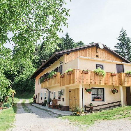 Pocitniska Hisa Pologar Guest House Tolmin Exterior foto