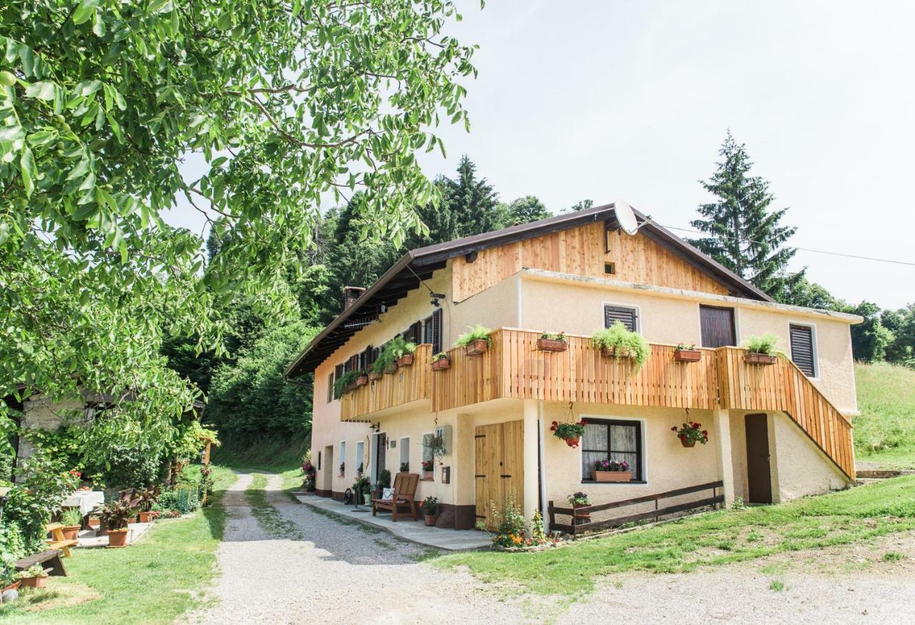 Pocitniska Hisa Pologar Guest House Tolmin Exterior foto
